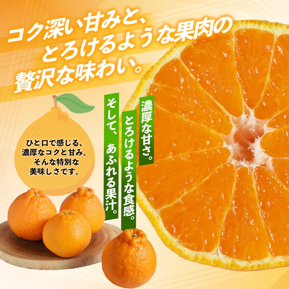 【数量限定】不知火 笹本農園の不知火 約5kg サイズ混合 【2027年3月上旬頃～順次発送】 不知火デコポン みかん ミカン 蜜柑 不知火 しらぬい 柑橘 フルーツ 果物【ssmt0001】