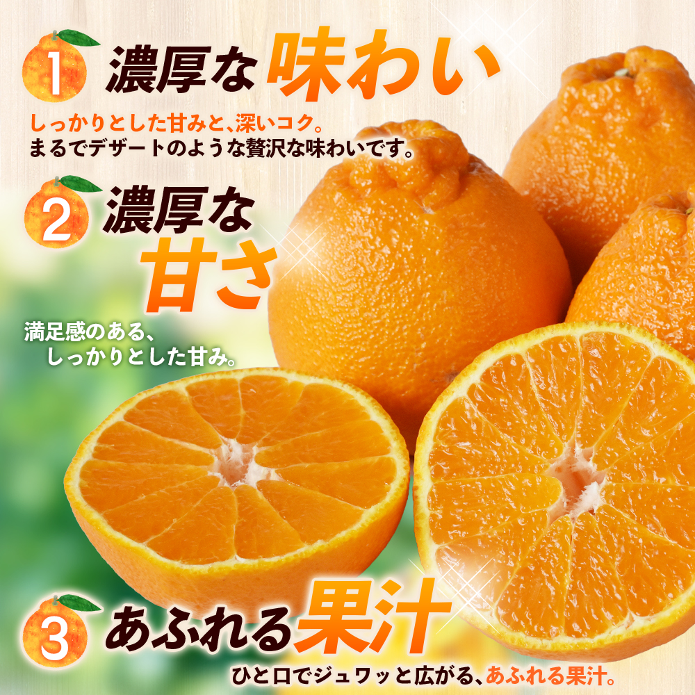 【数量限定】不知火 笹本農園の不知火 約5kg サイズ混合 【2027年3月上旬頃～順次発送】 不知火デコポン みかん ミカン 蜜柑 不知火 しらぬい 柑橘 フルーツ 果物【ssmt0001】