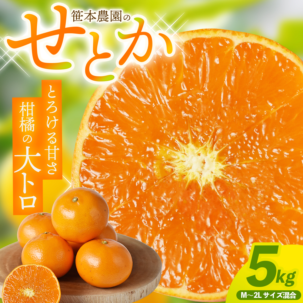 【数量限定】せとか  柑橘の大トロ 笹本農園のせとか 約5kg M～2Lサイズ混合 【2027年3月上旬頃～順次発送】 みかん ミカン 蜜柑 柑橘 せとか フルーツ 果物 【ssmt0002】