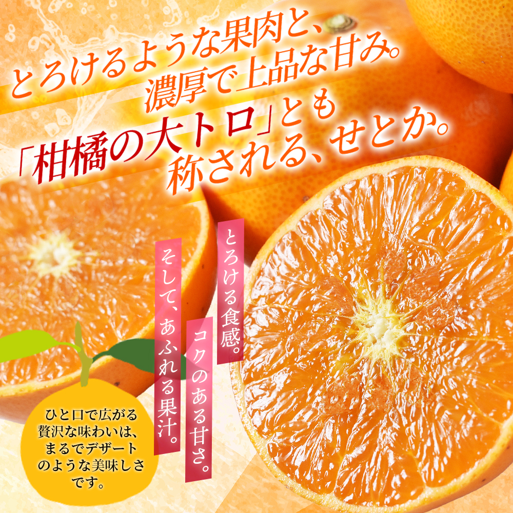 【数量限定】せとか  柑橘の大トロ 笹本農園のせとか 約5kg M～2Lサイズ混合 【2027年3月上旬頃～順次発送】 みかん ミカン 蜜柑 柑橘 せとか フルーツ 果物 【ssmt0002】