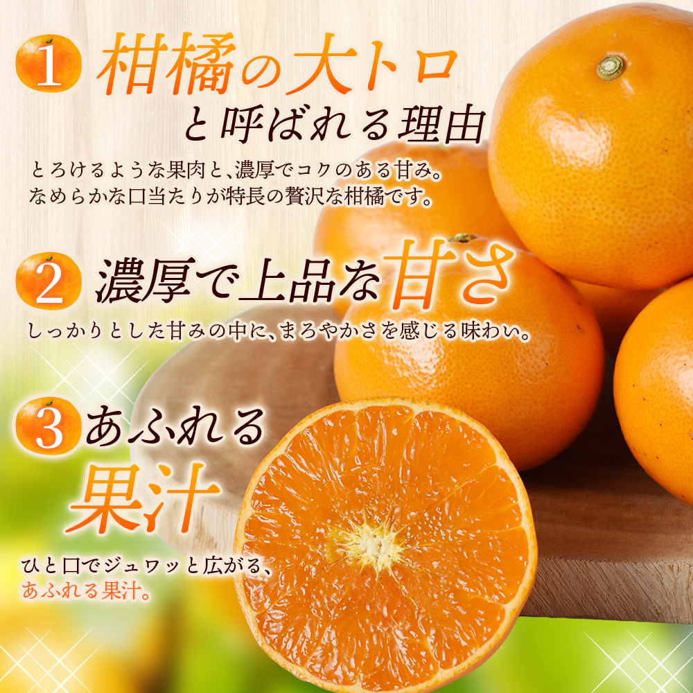 【数量限定】せとか  柑橘の大トロ 笹本農園のせとか 約5kg M～2Lサイズ混合 【2027年3月上旬頃～順次発送】 みかん ミカン 蜜柑 柑橘 せとか フルーツ 果物 【ssmt0002】