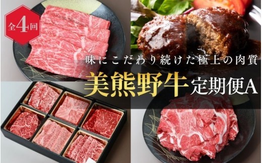 【全4回】美熊野牛 定期便A ＜すき焼きしゃぶしゃぶ用ロース＆赤身モモ肉 400g・切り落とし 400g・焼肉用6種食べ比べ 500ｇ・100％ハンバーグ 100g×5個＞【okad-tkb0019】