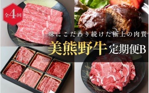 【全4回】美熊野牛 定期便B ＜すき焼きしゃぶしゃぶ用ロース＆赤身モモ肉 800g・切り落とし 800g・焼肉用6種食べ比べ 500ｇ・100％ハンバーグ 100g×5個＞【okad-tkb0020】