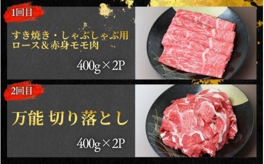 【全4回】美熊野牛 定期便D ＜すき焼きしゃぶしゃぶ用ロース＆赤身モモ肉 800g・切り落とし 800g・焼肉用6種食べ比べ 500ｇ・サーロインステーキ 300g×2枚＞【okad-tkb0022】