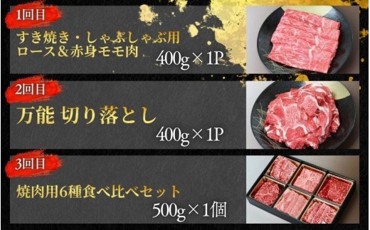 【全5回】美熊野牛定期便A＜すきしゃぶ用ロース＆赤身モモ肉・切り落とし・焼肉用6種食べ比べ・サーロインステーキ・100％ハンバーグ＞【okad-tkb0023】