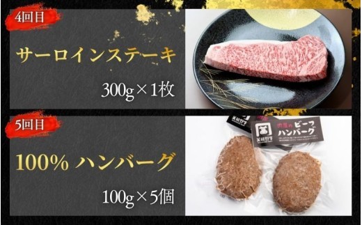 【全5回】美熊野牛定期便A＜すきしゃぶ用ロース＆赤身モモ肉・切り落とし・焼肉用6種食べ比べ・サーロインステーキ・100％ハンバーグ＞【okad-tkb0023】