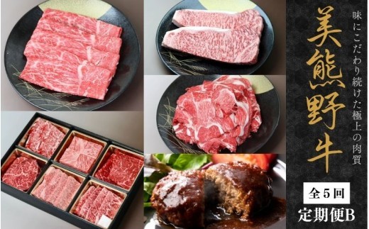 【全5回】美熊野牛 定期便B ＜すき焼きしゃぶしゃぶ用ロース＆赤身モモ肉 ・切り落とし・焼肉用6種食べ比べ・サーロインステーキ・100％ハンバーグ＞【okad-tkb0024】