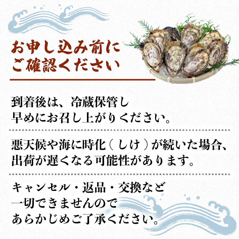 牡蠣 15個 or 25個 カキ 生牡蠣 オイスター 生食 殻付き ナイフ付き 産地直送 海鮮 海産物 魚貝類 新鮮 シングルシード 伊勢 志摩市 三重県 英虞湾産 シングルシードオイスター アマテラス