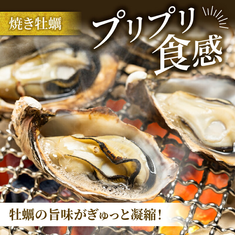選べる 容量 牡蠣 殻付き 的矢かき 生食用 カキ かき 的矢牡蠣 的矢 牡蠣 養殖 的矢湾 生食 ブランド 伊勢志摩 伊勢 志摩 新鮮 養殖場 直送 年末年始 お正月 お歳暮 贈答 まとや