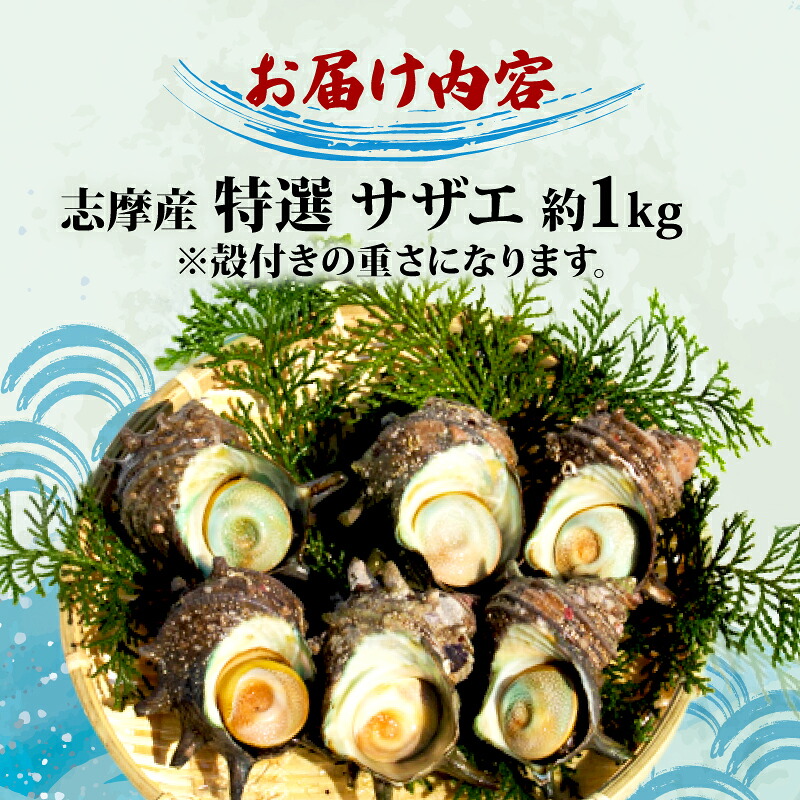 サザエ 1kg 入り 新鮮 海鮮 海産物 魚介 魚貝 サザエ 栄螺 貝 刺身 刺し身 お造り つぼ焼き グリル BBQ バーベキュー キャンプ 夏 ギフト 贈り物 志摩産 特選 三重 志摩 伊勢志摩