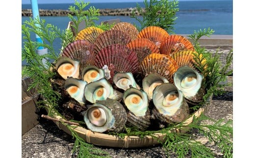 サザエ 1kg 檜扇貝 10個 特選 セット 伊勢志摩産 伊勢 志摩 三重県 さざえ 桧扇貝 ヒオウギ貝 貝 新鮮 海鮮 バーベキュー 冷蔵 産地直送 BBQ キャンプ アウトドア 魚貝類 刺身