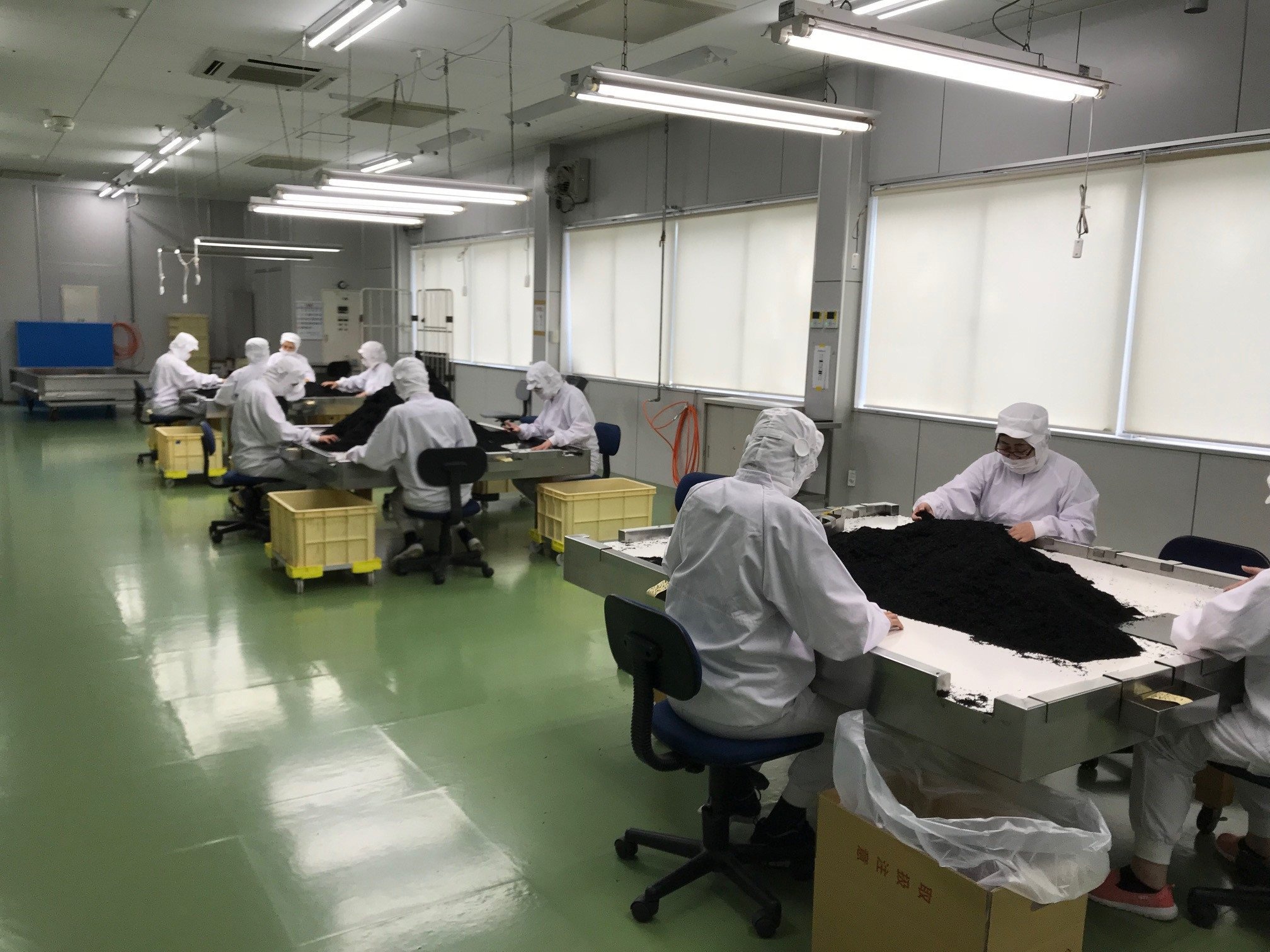 ひじき ご飯 セット 小分け ふりかけ かつお しそ ちりめん 3種類 伊勢 志摩 三重県 国産 海藻 乾燥 お手軽 お弁当 朝食 おにぎり ご飯 5000円 五千円 5千円 5000円以下