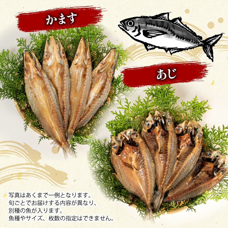 干物 3~4種 詰合せ セット 冷凍 ひもの 魚 魚介類 海鮮 旬 国産 産地直送 朝食 朝ご飯 夕食 晩ごはん 三重県 伊勢志摩 志摩 みえ いせしま いせ しま 10000円 一万円 1万円