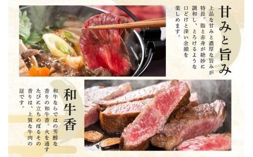 松阪牛 サイコロステーキ 240g / 冷凍 瀬古食品 モモ バラ 松阪肉 名産 お取り寄せグルメ 牛肉 お肉 肉 和牛 黒毛和牛 国産 国産牛 松阪牛 松阪 牛 ブランド牛 ステーキ 赤身 産地直送