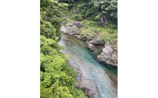 鮎 甘露煮 8尾/大森水産 あゆ お取り寄せグルメ 川魚 和食 三重県 大台町