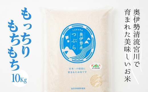 奥伊勢米 つぶら １０kg ／ 宮川TK 食味値75％以上 みえの安心食材 認定米 ブランド米 三重県 大台町