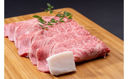 松阪牛 すき焼き（特選ロース） 500g／ 冷凍 ギフト箱包装 瀬古食品 JGAP認定 松阪肉 名産 お取り寄せグルメ 牛肉 お肉 肉 和牛 黒毛和牛 国産 国産牛 松阪牛 A4 ランク ブランド牛