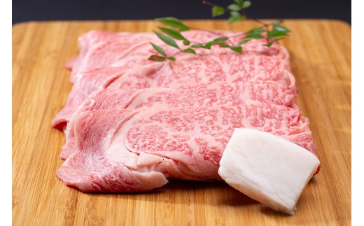 松阪牛 すき焼き（特選ロース） 500g／ 冷凍 ギフト箱包装 瀬古食品 JGAP認定 松阪肉 名産 お取り寄せグルメ 牛肉 お肉 肉 和牛 黒毛和牛 国産 国産牛 松阪牛 A4 ランク ブランド牛