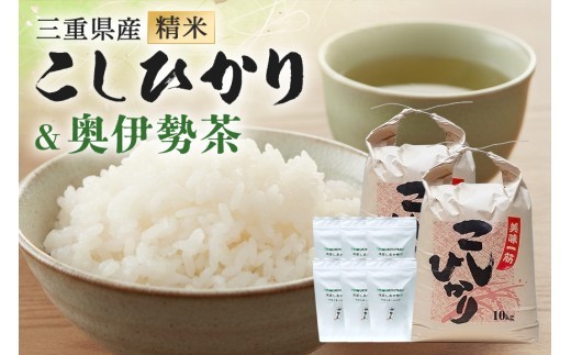 こしひかり 精米 20kg