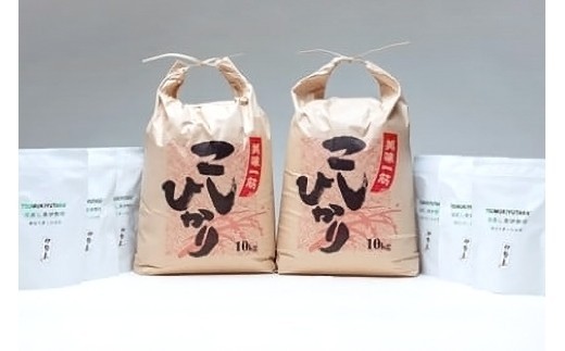 こしひかり 精米 20kg 奥伊勢茶(5g×20)3袋 (2g×40)3袋 (283)