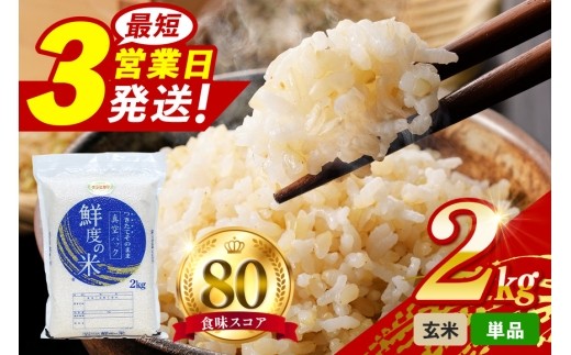 米 5㎏ 10㎏ 20kg 定期便 3ヶ月 6ヶ月 12ヶ月 玄米 精米 真空パック お米 こめ コメ コシヒカリ こしひかり ギフト プレゼント 5キロ 10キロ 20キロ 3回 6