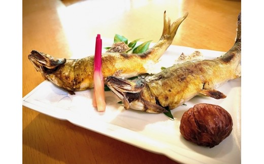 天然 鮎(生) 5尾/ 冷凍 いとう あゆ 川魚 ご自宅用 家庭用 ギフト 贈答用 真空パック 三重県 大台町 (314)