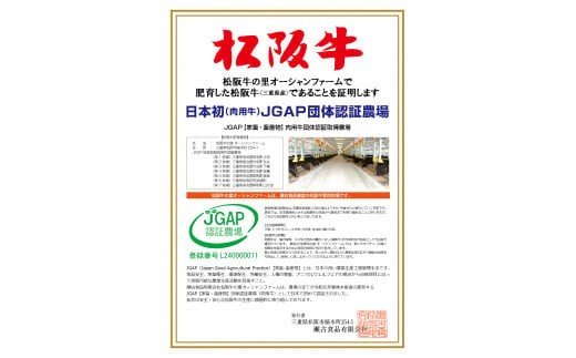 SS01 家庭用松阪牛小間切れ 200ｇ×3P ／ （冷凍） 瀬古食品 バラ スネ 松阪肉 名産 お取り寄せグルメ 三重県 大台町