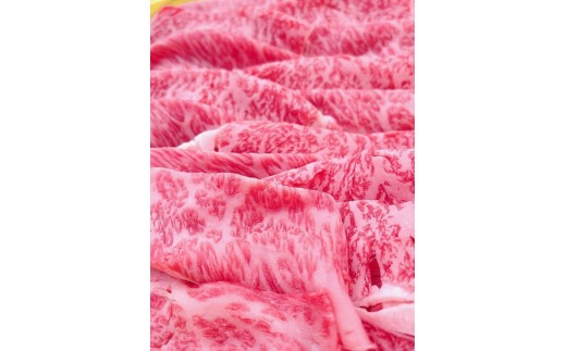 冷凍 松阪牛 肩ロース すき焼き 800g / 瀬古食品 ふるさと納税 牛肉 松阪肉 名産 ブランド 霜ふり本舗 牛肉 お肉 肉 和牛 黒毛和牛 国産 国産牛 松阪牛 すき焼き ブランド牛 ご自宅用