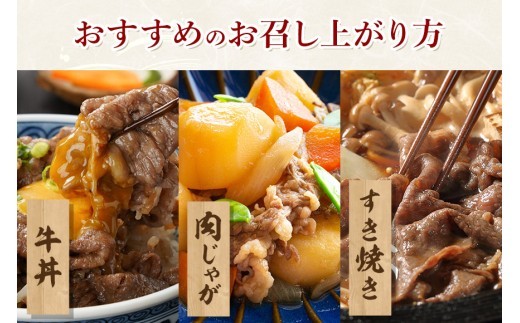 松阪牛 小間切れ 約400g 約800g／ 冷凍 多気郡農協 和牛 黒毛 特産品 松阪肉 牛肉 お肉 肉 牛 こま切れ ブランド牛 ご自宅用 家庭用 ギフト 贈答用 産地直送 松阪 牛 三重県 大台町