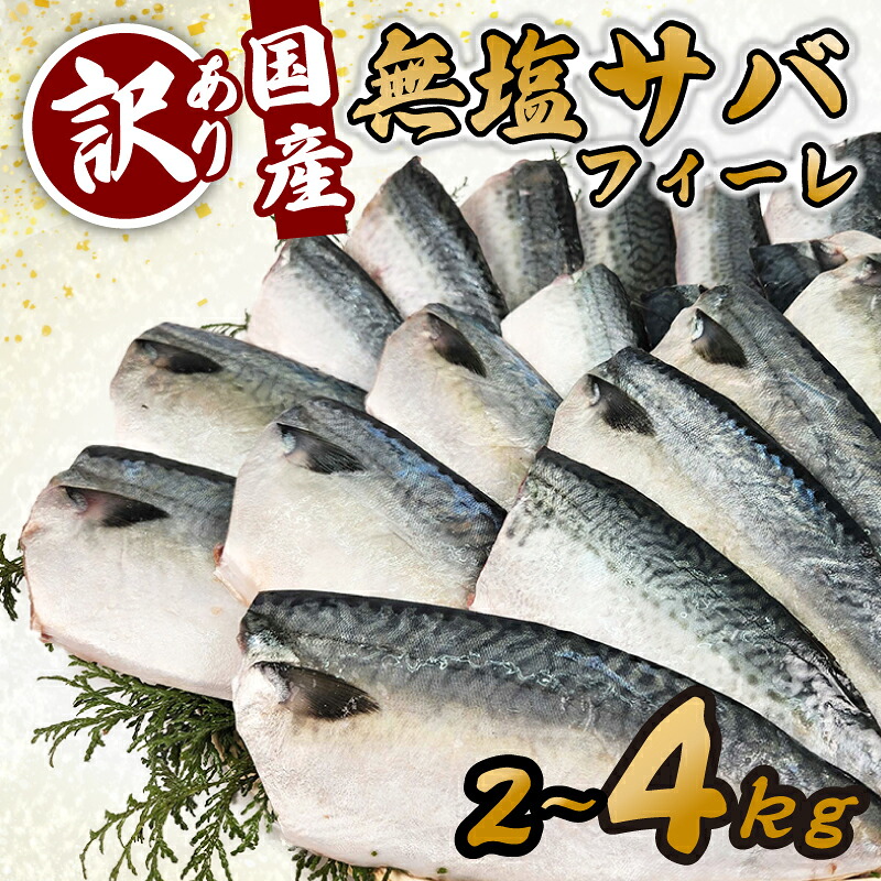 訳あり サバ 鯖 2kg バラ凍結 無塩 外湾漁業協同組合 国産サバ 国産鯖 無塩鯖 無塩サバ さば 簡単 保存 調理 焼き 簡易包装 わけあり 訳アリ 訳あり品 魚 魚介 海鮮 BBQ 加工品 国産