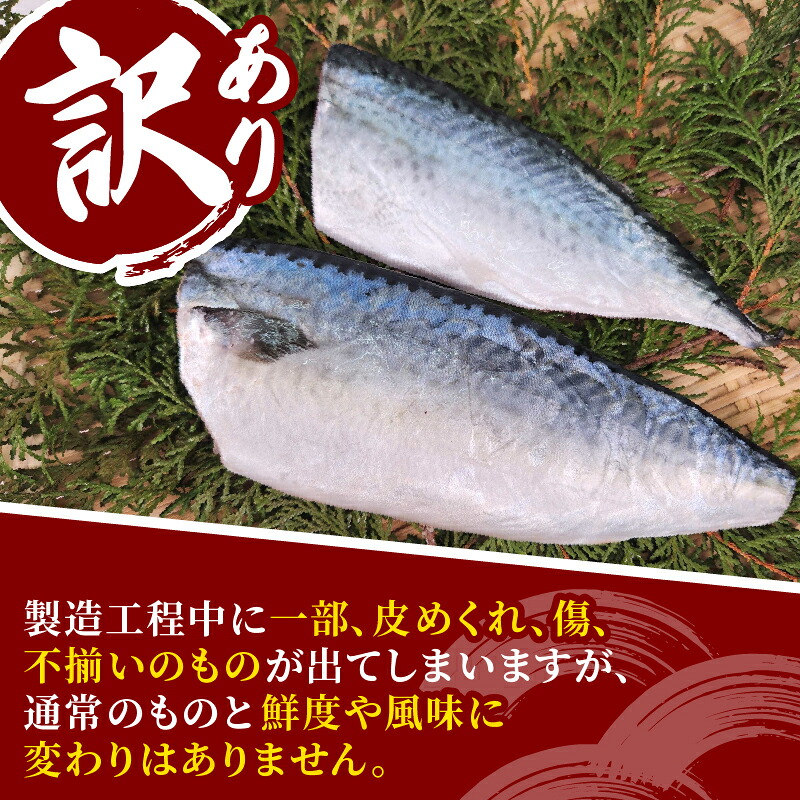 訳あり サバ 鯖 2kg バラ凍結 無塩 外湾漁業協同組合 国産サバ 国産鯖 無塩鯖 無塩サバ さば 簡単 保存 調理 焼き 簡易包装 わけあり 訳アリ 訳あり品 魚 魚介 海鮮 BBQ 加工品 国産