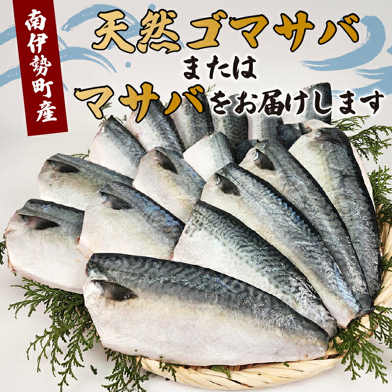 訳あり サバ 鯖 2kg バラ凍結 無塩 外湾漁業協同組合 国産サバ 国産鯖 無塩鯖 無塩サバ さば 簡単 保存 調理 焼き 簡易包装 わけあり 訳アリ 訳あり品 魚 魚介 海鮮 BBQ 加工品 国産