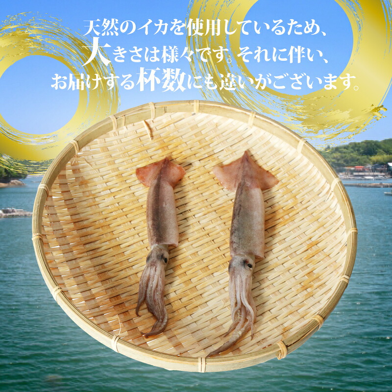冷凍スルメイカ 約1kg （8~20杯程度）/ イカ 刺身 いかの塩辛 いかめし いかげそ イカ焼き フライ いかソーメン 新鮮 海産物 魚介 使いやすい 便利 いか 烏賊 産地直送 真空パック 三重