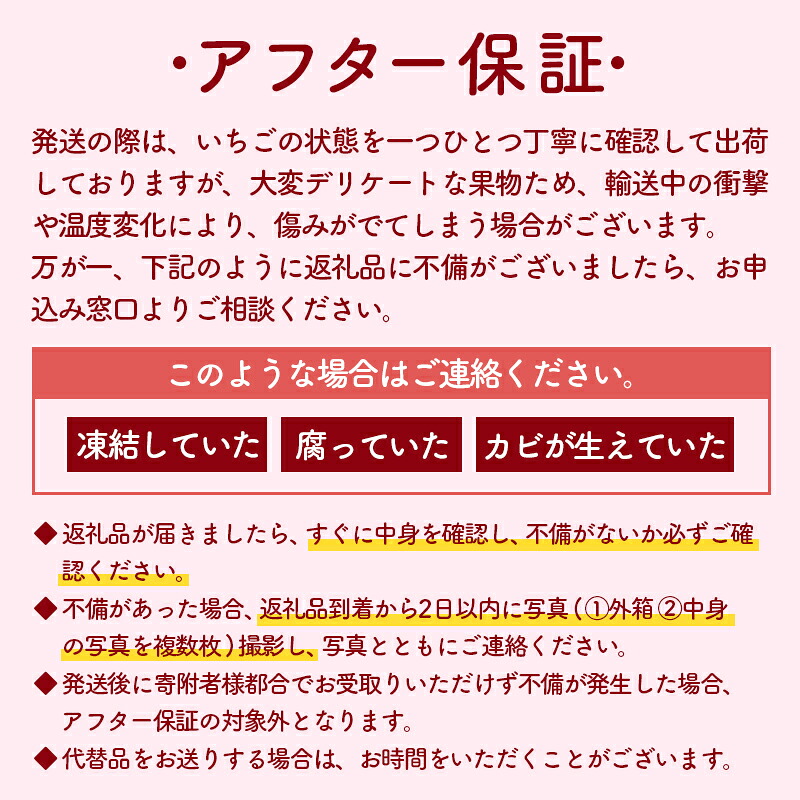 【先行予約】 いちご選べる容量 2~6パック かおり野 数量限定 苺 新鮮 産地直送 厳選 フルーツ 果物 くだもの 贈答用 贈答品 贈答 ギフト プレゼント 国産 三重県 伊勢 志摩 南伊勢町