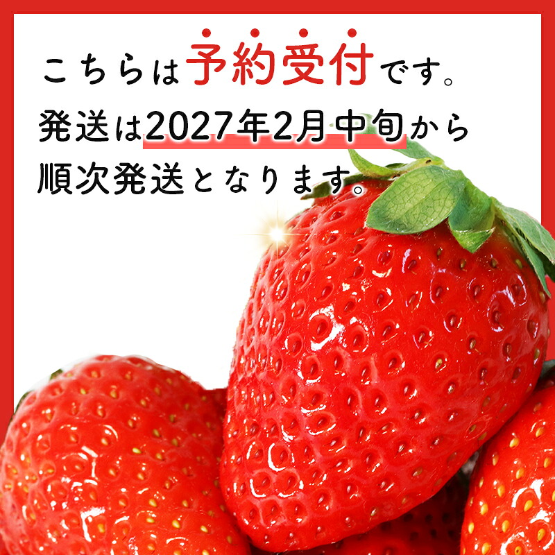 【訳あり】 いちご かおり野 先行予約 苺 イチゴ ストロベリー サイズ不揃い フルーツ 果物 スムージー ヨーグルト 三重県産 ichigo strawberry 三重県