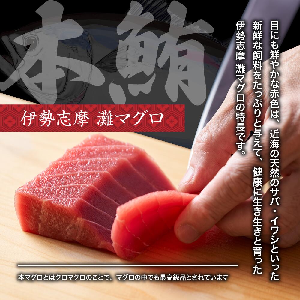 本マグロ刺身 約250~300g 柵 伊勢志摩まぐろ食堂 / 本まぐろ  マグロ maguro 刺し身 sasimi sashimi 本鮪 専門店 食べ比べ 鮪 刺し身
