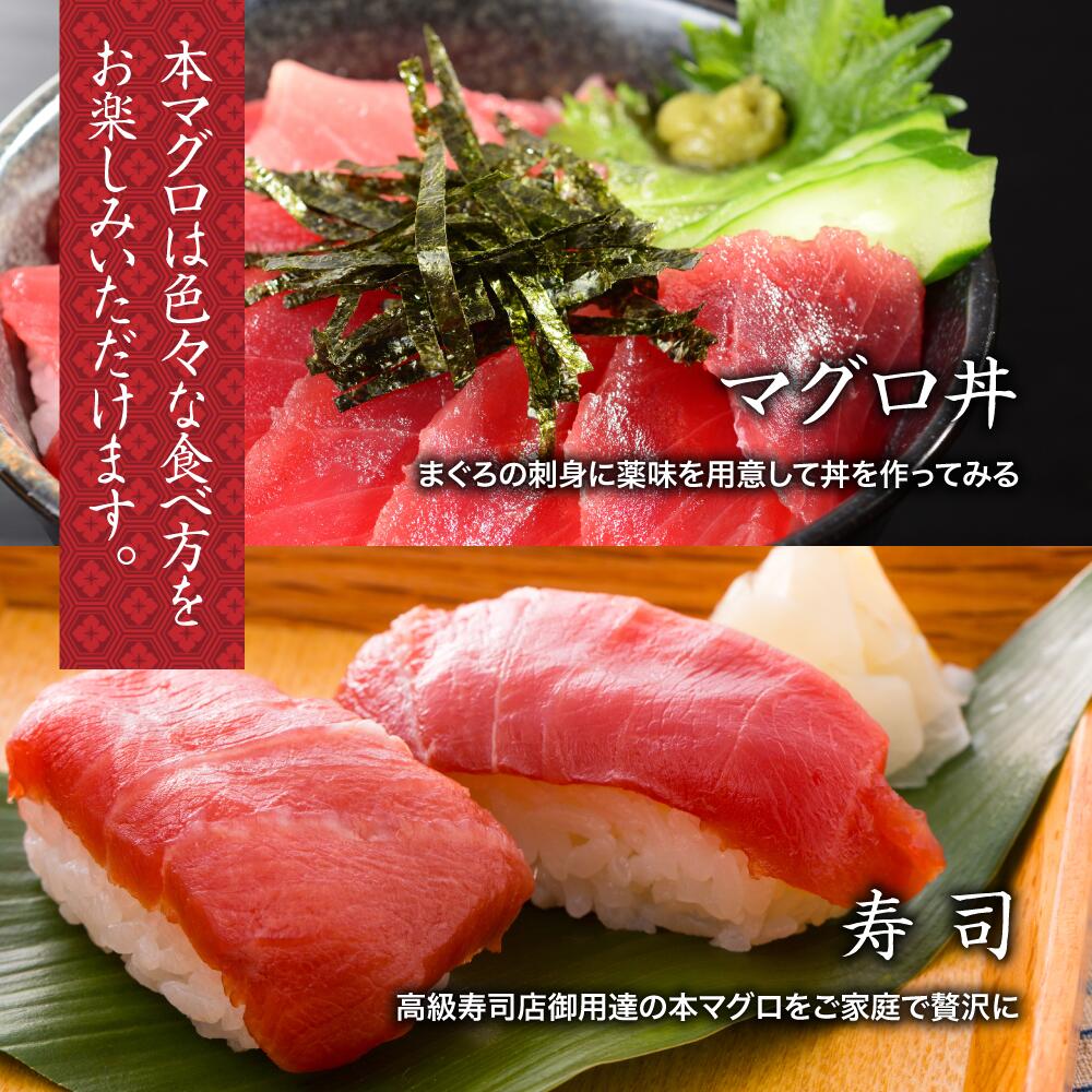 本マグロ刺身 約250~300g 柵 伊勢志摩まぐろ食堂 / 本まぐろ  マグロ maguro 刺し身 sasimi sashimi 本鮪 専門店 食べ比べ 鮪 刺し身