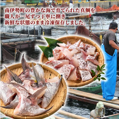 【冷凍】 真鯛セット 鯛カマ 鯛のこまぎれ 各2パック / 鯛かま カマ 真鯛 小分け 晩御飯 おかず 真鯛 タイ tai 鯛めし BBQ 海鮮 魚介 三重県 南伊勢 伊勢 志摩 マルカ水産