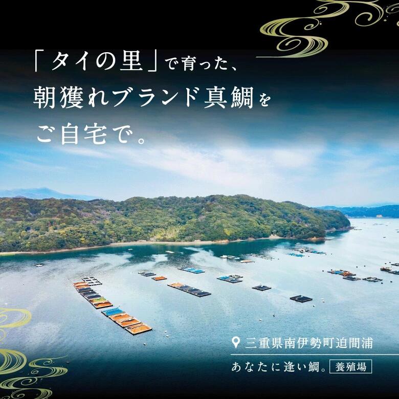 真鯛 タイ お刺身 約1kg~1.2kg 3枚おろし 冷蔵 皮なし スキンレス 新鮮 鮮魚 鯛 たい 刺身 しゃぶしゃぶ 鯛しゃぶ 鍋 鯛めし 鯛茶漬け 炙り 塩焼き 煮付け ブランド 三重県 南伊勢