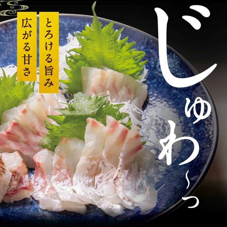真鯛 タイ お刺身 約1kg~1.2kg 3枚おろし 冷蔵 皮あり 新鮮 鮮魚 鯛 たい 刺身 しゃぶしゃぶ 鯛しゃぶ 鍋 鯛めし 鯛茶漬け 炙り 塩焼き 煮付け ブランド 三重県 南伊勢町