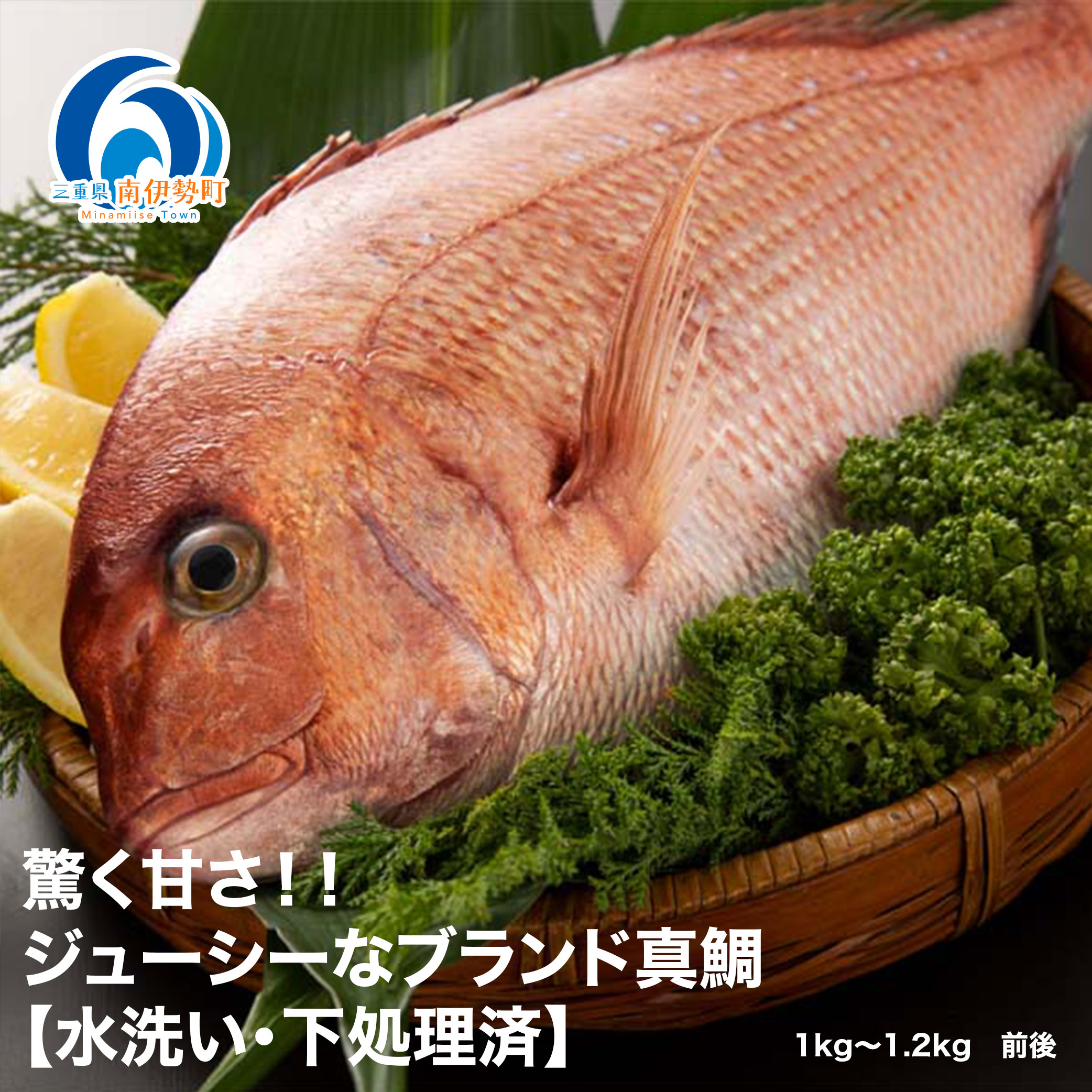 （冷蔵）驚く甘さ！ジューシーなブランド真鯛【水洗い・下処理済】 ／ はさま あなたに逢い鯛。 三重県 南伊勢町 伊勢志摩