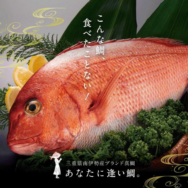 （冷蔵）驚く甘さ！ジューシーなブランド真鯛【水洗い・下処理済】 ／ はさま あなたに逢い鯛。 三重県 南伊勢町 伊勢志摩