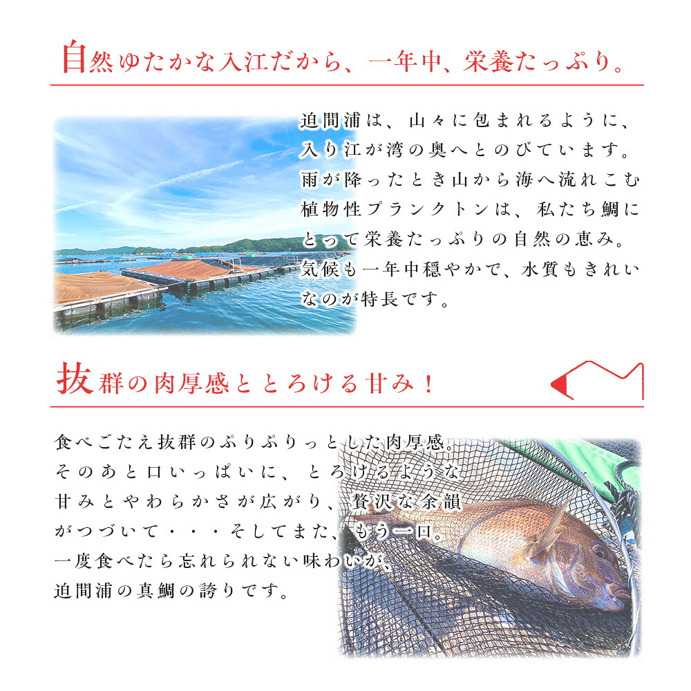 真鯛 タイ 2尾 3枚おろし 冷蔵 皮なし 皮あり セット スキンレス 新鮮 鮮魚 鯛 たい お刺身 刺身 しゃぶしゃぶ 鯛しゃぶ 鍋 鯛めし 鯛茶漬け 炙り 塩焼き 煮付け ブランド 三重県 南伊勢