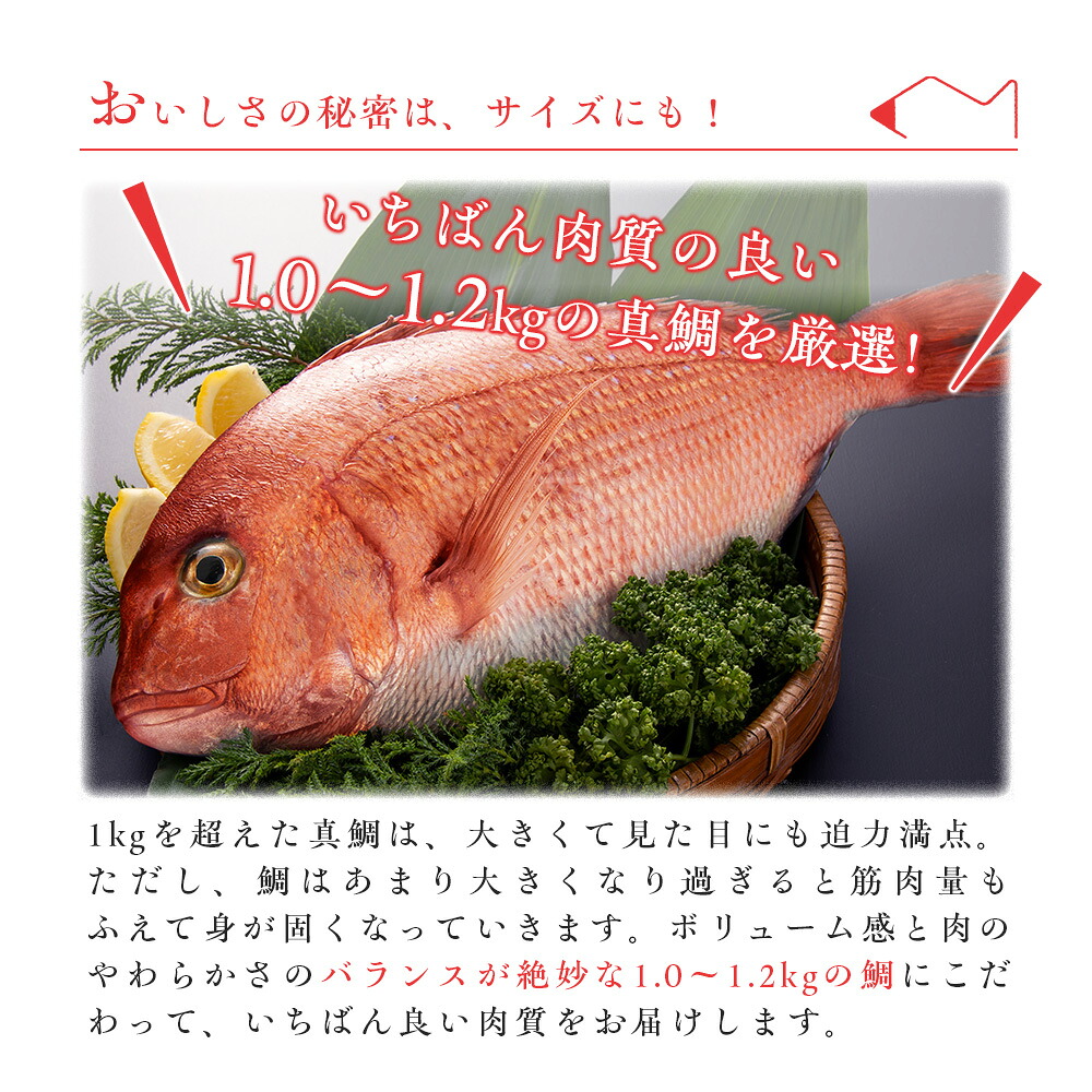真鯛 タイ 2尾 3枚おろし 冷蔵 皮なし 皮あり セット スキンレス 新鮮 鮮魚 鯛 たい お刺身 刺身 しゃぶしゃぶ 鯛しゃぶ 鍋 鯛めし 鯛茶漬け 炙り 塩焼き 煮付け ブランド 三重県 南伊勢