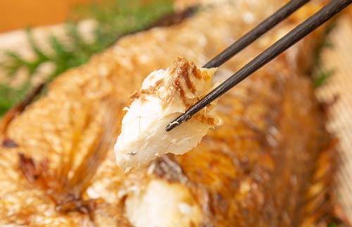 鯛 塩焼き 1~1.2kg 前後 ブランド 真鯛 簡単 祝事 tai たい タイ 海鮮 魚介 高級魚 お食い初め ハレの日 お祝い ギフト ギフト用 贈答 贈答用 加工品 惣菜 三重県