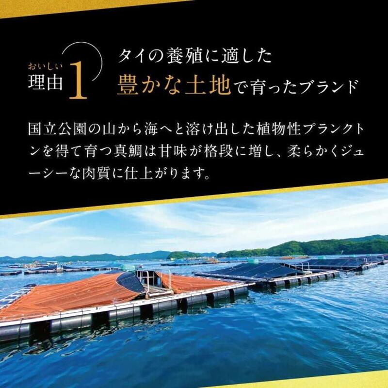 鯛 塩焼き 1~1.2kg 前後 ブランド 真鯛 簡単 祝事 tai たい タイ 海鮮 魚介 高級魚 お食い初め ハレの日 お祝い ギフト ギフト用 贈答 贈答用 加工品 惣菜 三重県