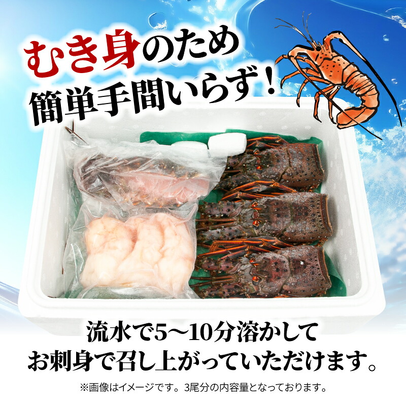 （冷凍） 訳あり 伊勢海老 500g~1kg 選べる容量 むき身 処理済み イセエビ 海老 えび 伊勢 エビ 伊勢エビ 海宝水産 訳あり品 訳アリ 贅沢 高級 簡単調理 刺し身 刺身 海鮮 ギフト 国産 三重県 南伊勢町