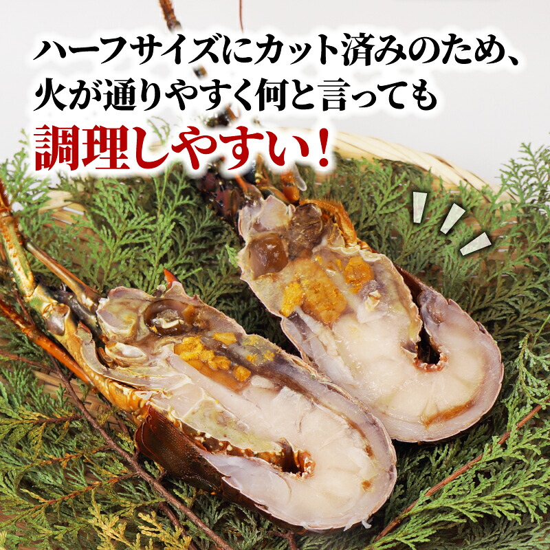 （冷凍） 簡単調理 伊勢海老 1.3kg ハーフカット 処理済み イセエビ 海老 えび 伊勢 エビ 伊勢エビ 海宝水産 贅沢 高級 簡単調理 バーベキュー BBQ 鉄板焼 海鮮 ギフト 国産 三重県