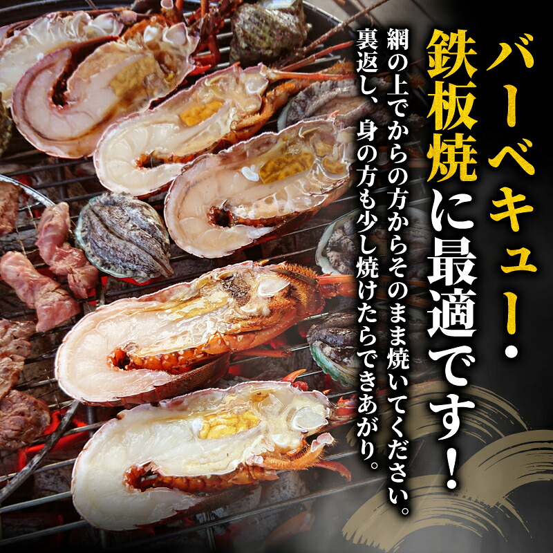（冷凍） 簡単調理 伊勢海老 1.3kg ハーフカット 処理済み イセエビ 海老 えび 伊勢 エビ 伊勢エビ 海宝水産 贅沢 高級 簡単調理 バーベキュー BBQ 鉄板焼 海鮮 ギフト 国産 三重県