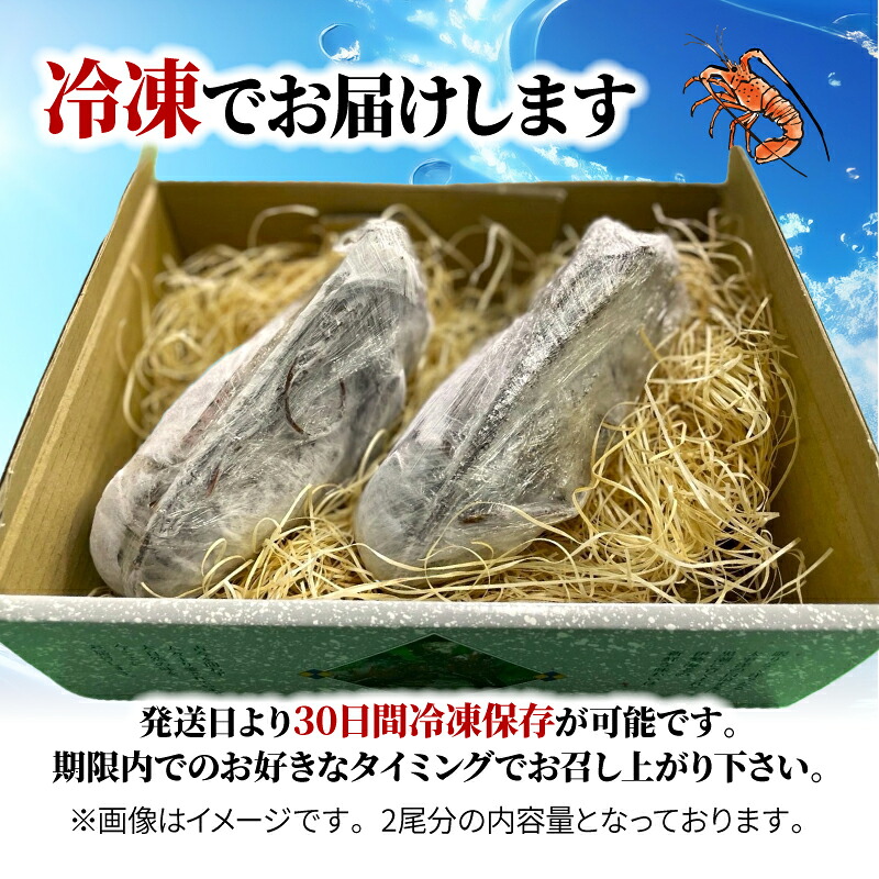 (冷凍) 訳あり 伊勢海老 1尾 加熱用 約200g  海老  伊勢 エビ 伊勢エビ 訳アリ品 訳アリ 海鮮 海の幸 味噌汁 焼き物 伊勢志摩産 三重県 南伊勢町 丸池